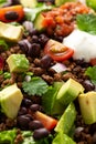 Beef Taco salad with romaine lettuce, avocado, tomato salsa, black bean and tortilla chips. Mexican healthy food Royalty Free Stock Photo