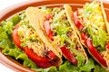 Beef tacos with salad and tomatoes salsa Royalty Free Stock Photo
