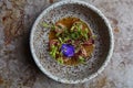 Beef tataki with miso sauce Royalty Free Stock Photo