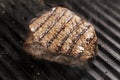 Beef Tenderloin Royalty Free Stock Photo