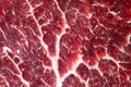 Beef Texture. Freezed Meat Background. Closeup of a Piece of Sirloin Steak Royalty Free Stock Photo