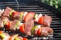 Beef brochette on barbecue Royalty Free Stock Photo