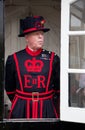 Beefeater Royalty Free Stock Photo
