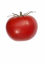 Beefsteak tomato Royalty Free Stock Photo