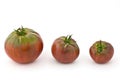 Beefsteak Tomatoes