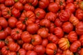 Beefsteak Tomatoes. Vegetables from the farmer Royalty Free Stock Photo