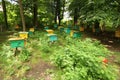 Beegarden. a few beehives in a shadow of a threes. Royalty Free Stock Photo