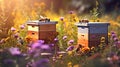 Beehive apiary bees and flowers in the meadow.Generative AI