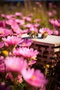 Beehive apiary bees and flowers in the meadow. Generative AI,