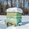 Beehive in the apiary in winter. Heavy frost