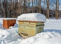 Beehive in the apiary in winter. Heavy frost