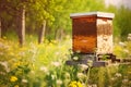 Beehive with bee colony in a meadow in summer, honey production, generative AI