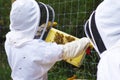 Beekeepers with beehive Royalty Free Stock Photo