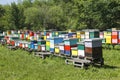 Beehive boxses