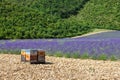 Beehive close to lavander field