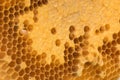 Beehive closeup background. Royalty Free Stock Photo