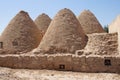 Beehive desert houses