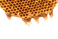 Beehive deserted isolated Royalty Free Stock Photo