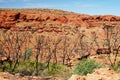 Beehive domes across Kings Canyon