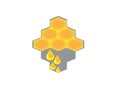 Beehive with drops of honey for logo design vector, pure honey icon