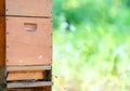 Beehive entrance, apiaries - beehives with bees colony Royalty Free Stock Photo