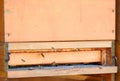 Beehive entrance, apiaries - beehives with bees colony Royalty Free Stock Photo