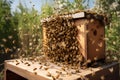 A busy beehive with bees buzzing around. AI Generated
