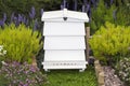 Beehive in a garden