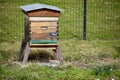 Beehive in the gardens of The Louvre. Paris, France. March 29, 2023.