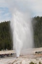 Beehive Geyser eruption in Yellowstone National Park
