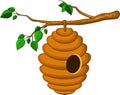 Beehive hanging from a branch isolated Royalty Free Stock Photo