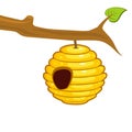 Beehive hanging from a branch Royalty Free Stock Photo