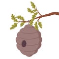 Beehive hanging on tree branch. Cartoon honey bee hive, bees swarm inside beehive flat vector illustration. Bees housing