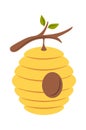 Beehive hanging on tree brunch Royalty Free Stock Photo