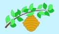 Beehive hangs on a branch with green leaves. Vector illustration.