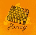 Beehive and honey.