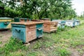 Beehive - the house of bees in the bosom of nature. Work beekeeper. Healing product of beekeeping. May, flower honey. Royalty Free Stock Photo