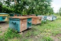 Beehive - the house of bees in the bosom of nature. Work beekeeper. Healing product of beekeeping. May, flower honey. Royalty Free Stock Photo