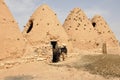 Beehive houses with donkey Royalty Free Stock Photo