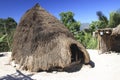 Beehive hut near Boti village, West Timor