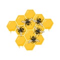 Bees on honeycomb filled with honey illustration