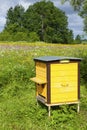 Beehive Royalty Free Stock Photo