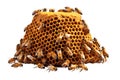 Beehive Isolated on Transparent Background, Generative AI