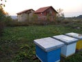 Beehive near village