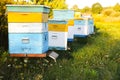 Beehive outdoors. Natural honey making. Eco-friendly food