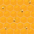 Beehive template with little bee. Beehive background.