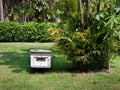 Beehive in a tropical garden