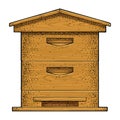 Beehive. Vector Vintage Engraved Illustration. Isolated On White Background