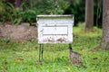White beehive on lawn