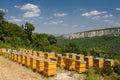 Beehives Royalty Free Stock Photo